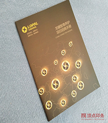 產(chǎn)品手冊(cè) 燙金畫(huà)冊(cè)