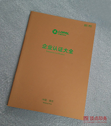龍?bào)词?騎馬釘樣本
