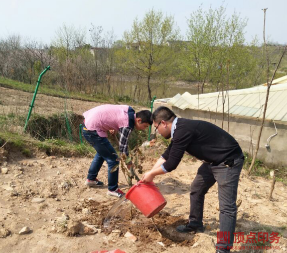 南京頂點印刷廠澆水圖